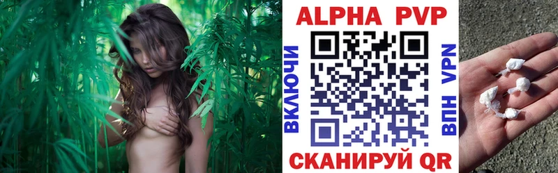 MEGA зеркало цены наркотик Иланский A-PVP СК