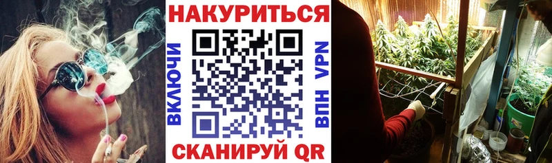 купить  цена  Иланский  Каннабис SATIVA & INDICA 